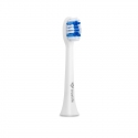 TrueLife TLSBCHWN toothbrush head 1 pc(s) White TrueLife TLSBCHWN toothbrush head 1 pc(s) White