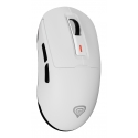 GENESIS Zircon 660 pele Speļu Labā roka RF Wireless + Bluetooth + USB Type-A Optisks 12000 DPI