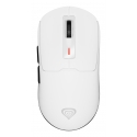 GENESIS Zircon 660 pele Speļu Labā roka RF Wireless + Bluetooth + USB Type-A Optisks 12000 DPI