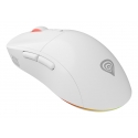 GENESIS Zircon XIII pele Speļu Abām rokām RF Wireless + USB Type-C Optisks 26000 DPI GENESIS Zircon XIII pele Speļu Abām rokām RF Wireless + USB Type-C Optisks 26000 DPI