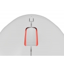 GENESIS Zircon XIII pele Speļu Abām rokām RF Wireless + USB Type-C Optisks 26000 DPI GENESIS Zircon XIII pele Speļu Abām rokām RF Wireless + USB Type-C Optisks 26000 DPI