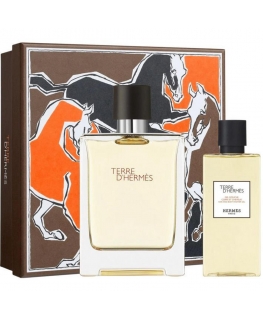 Hermès Terre D'hermes rinkinys vīriešiem (EDT, 100 ml + dušas želeja, 80 ml)