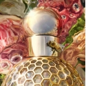 Guerlain Nerolia Vetiver 75 ml Sievietes Guerlain Nerolia Vetiver 75 ml Sievietes