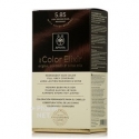 PHYTOCOLOR 6.66 - Intense Light Cherry Brown for You PHYTOCOLOR 6.66 - Intense Light Cherry Brown for You