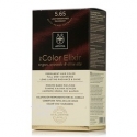 PHYTOCOLOR 6.66 - Intense Light Cherry Brown for You PHYTOCOLOR 6.66 - Intense Light Cherry Brown for You