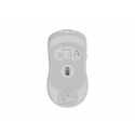 GENESIS Zircon 500 pele Speļu Labā roka RF Wireless + Bluetooth + USB Type-C Optisks 10000 DPI GENESIS Zircon 500 pele Speļu Labā roka RF Wireless + Bluetooth + USB Type-C Optisks 10000 DPI