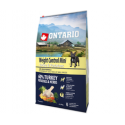 Ontario Adult Medium kala & ruskeat riisit 12kg