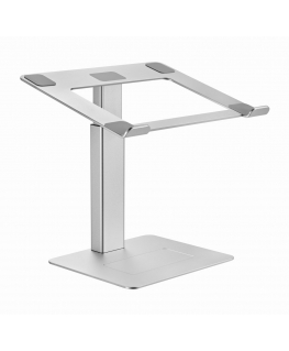 Gembird NBS-D1-02 sülearvuti raam & alus Sülearvuti alus Hõbe 39,6 cm (15.6")
