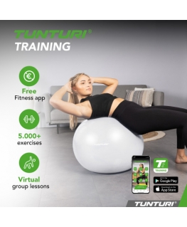 Tunturi Gymball 65 cm, Vaaleanharmaa, Puhkeamaton
