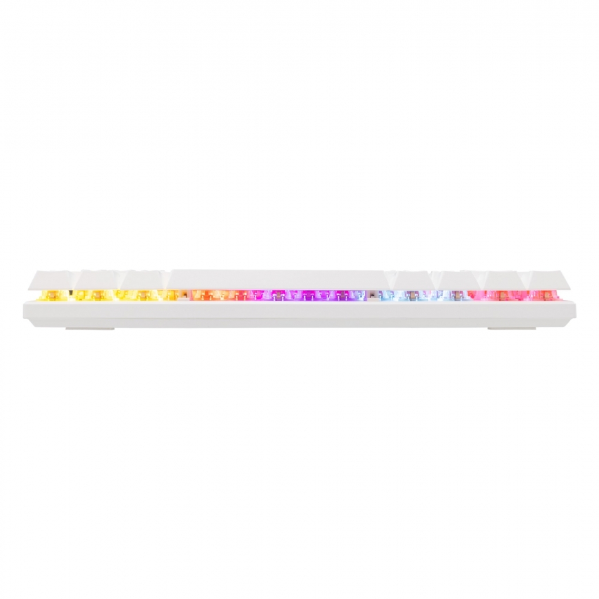 Baracuda BGK-03221 Dolphin White US mekaaniset siniset kytkimet – 4