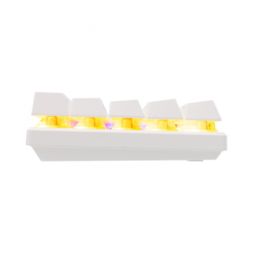 Baracuda BGK-03221 Dolphin White US mekaaniset siniset kytkimet – 5