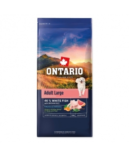 Ontario Adult Large kala ja pruun riis 12kg
