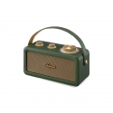 Sangean RA-101 Портативный Аналоговый Золото, Зеленый