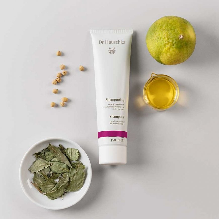 Dr. Hauschka Shampoo – 2
