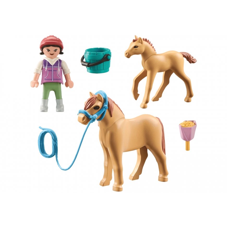Playmobil 071498 spēļu komplekts – 2