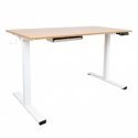 Home4You Stalas ERGO LIGHT yhdellä moottorilla 120x60xH73-118cm, tammi/valkoinen Home4You Stalas ERGO LIGHT yhdellä moottorilla 120x60xH73-118cm, tammi/valkoinen