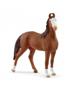 schleich HORSE CLUB Marwari Mare