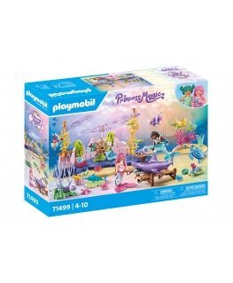 Playmobil Princess 71499 žaislų rinkinys