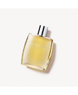 Burberry For Men (Tester) 100 ml Mehed