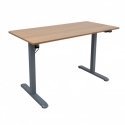 Home4You ERGO LIGHT laud, 1 mootoriga, 120x60xA73-118 cm, tamm/hõbedane hall Home4You ERGO LIGHT laud, 1 mootoriga, 120x60xA73-118 cm, tamm/hõbedane hall