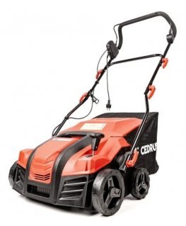 CEDRUS 5906434229091