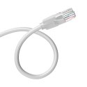 Vention IBEHH võrgukaabel Hall 2 m Cat6 U/UTP (UTP) Vention IBEHH võrgukaabel Hall 2 m Cat6 U/UTP (UTP)