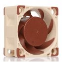 Noctua NF-A4X20 5V PWM arvuti jahutussüsteem Arvuti korpus Ventilaator 4 cm Noctua NF-A4X20 5V PWM arvuti jahutussüsteem Arvuti korpus Ventilaator 4 cm