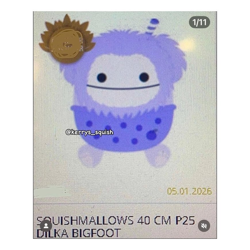 Squishmallows 40 cm P25 Dilka Bigfoot
