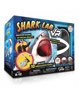 Abacus Steam Lab Shark Lab