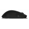 Endgame Gear OP1W 4K V2 kompiuterio pelė Žaidimams Dešinės rankos RF Wireless + USB Type-A Optinis 3 Endgame Gear OP1W 4K V2 kompiuterio pelė Žaidimams Dešinės rankos RF Wireless + USB Type-A Optinis 3