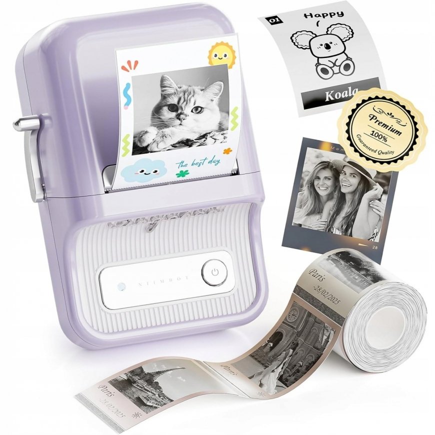 Niimbot B21 Pro Portable Label Spausdintuvas
