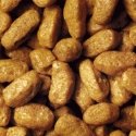 Purina Pro Plan Sterilised OPTIrenal sausas kačių maistas 1,5 kg Suaugusių Triušis Purina Pro Plan Sterilised OPTIrenal sausas kačių maistas 1,5 kg Suaugusių Triušis