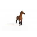 schleich HORSE CLUB 13945 mängukujuke