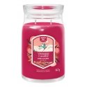 Yankee Candle 2653153E vahakynttilä Pyöreä Punainen 1 kpl Yankee Candle 2653153E vahakynttilä Pyöreä Punainen 1 kpl
