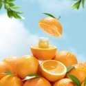 FRUDIA Citrus Brightening Cream – Mini Dieninis ir naktinis kremas 10 ml FRUDIA Citrus Brightening Cream – Mini Dieninis ir naktinis kremas 10 ml