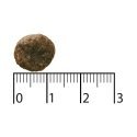 Bozita 9117385 kuivtoit koerale 11 kg Täiskasvanu Lammas Bozita 9117385 kuivtoit koerale 11 kg Täiskasvanu Lammas