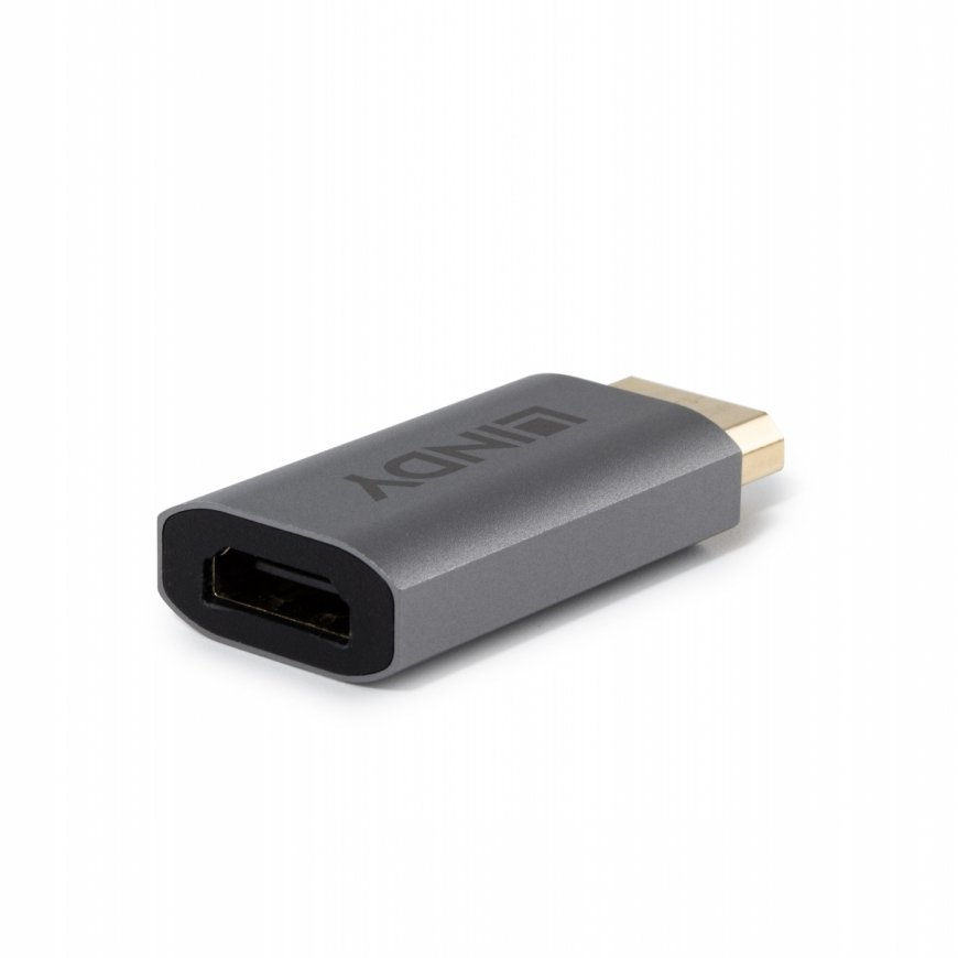 Lindy 41095 kaapelin sukupuolenvaihtaja DisplayPort HDMI Type A Harmaa