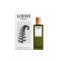 LOEWE Perfumes Esencia 50 ml Vyrams LOEWE Perfumes Esencia 50 ml Vyrams