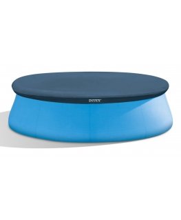 Intex 28021 basseinikate Kate