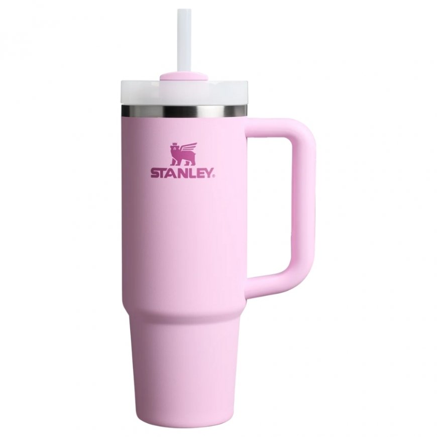 Monbento Frosty 5L Raccoon termokassi – 2
