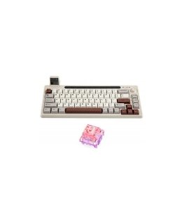 Mechaninė klaviatūra Epomaker RT65 Flamingo Switch pilka/balta