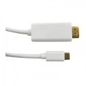 Qoltec 50415 videokaabliadapter 2 m HDMI tüüp A (Standard) USB tüüp-C Valge Qoltec 50415 videokaabliadapter 2 m HDMI tüüp A (Standard) USB tüüp-C Valge