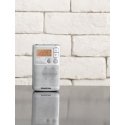 Sangean DT-250 Серебристый Sangean DT-250 Серебристый
