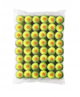 Wilson Starter Orange -teniso kamuolys, 48 vnt.