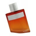 Ahmed Al Maghribi Mauzoon - EDP
