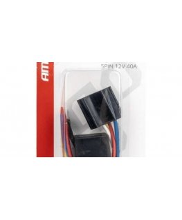 State Number Lighting clp08 "Mercedes-Benz Amio-04547"