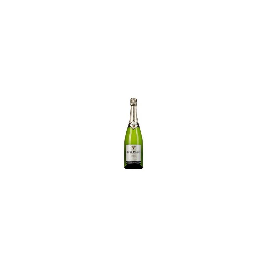 Šampanietis PIERRE MONCUIT Hugues de Coulmet Blanc de Blancs Brut, 12%, 0,75 l