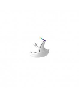 Delux M618C Wireless Vertical Mouse RGB White