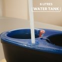 Vileda 4023103254237 beržamā suka Mikrošķiedra 6000 ml Mitrs Melns, Zils, Sarkans Vileda 4023103254237 beržamā suka Mikrošķiedra 6000 ml Mitrs Melns, Zils, Sarkans