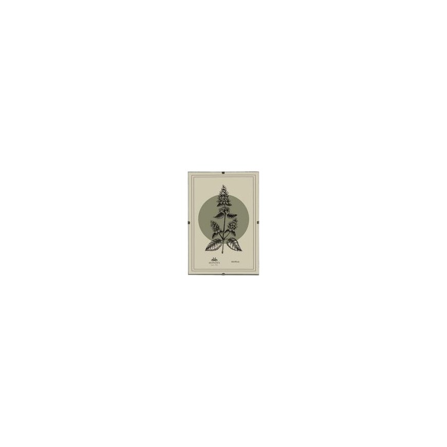 Mondex Since 1986 ADI frame 60x90 cm Antyrama